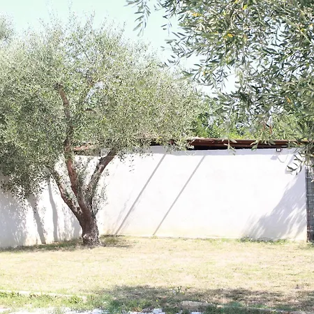 Holiday home La Pineta Latignano
