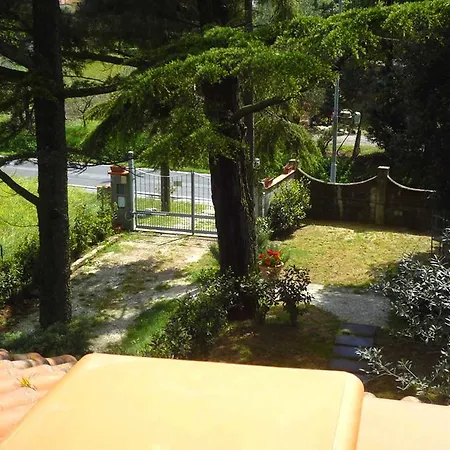 La Pineta