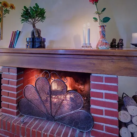 Holiday home La Pineta Latignano